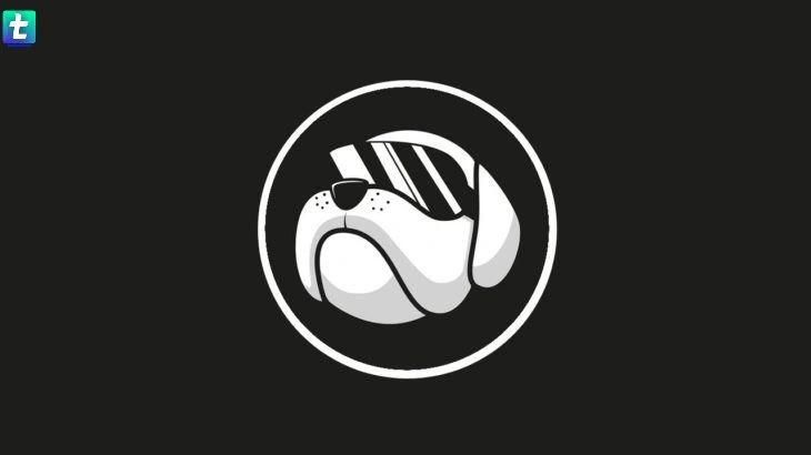 HOGE Price Prediction 2022 Hoge Finance Token Market Analysis Price Chart & Review – Will Hit $0.0003