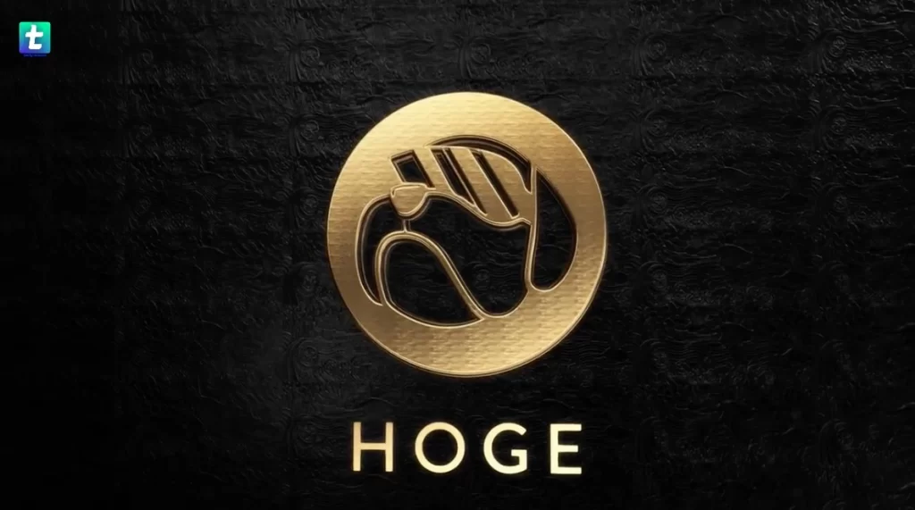 What is Hoge Coins’ Mission?